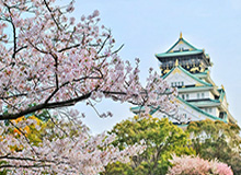 爱游戏体育官方网站-生死战！国青末战韩国必须战平 输球出线基本无望！